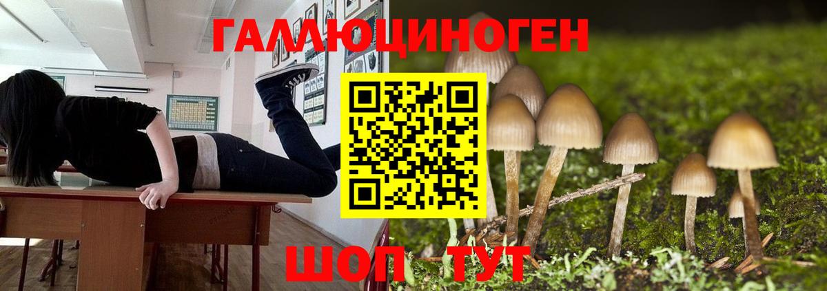 как найти закладки  Псилоцибиновые грибы мухоморы  Удомля  Вход с VPN  Псилоцибиновые грибы ЛСД 